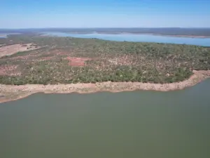 Commercial Stand for Sale