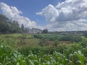 Residential Stand for Sale