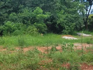 Residential Stand for Sale