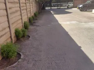 Flat/Apartment to Rent