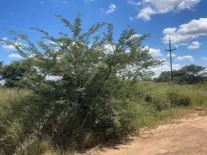 Residential Stand for Sale