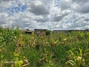 Residential Stand for Sale