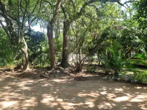 5 Bedroom House to Rent in Amby