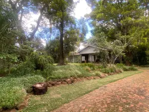 4 Bedroom House to Rent in Alexandra Park