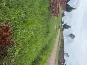 Residential Stand for Sale