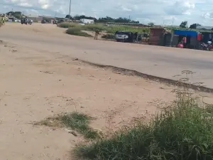 Commercial Stand for Sale