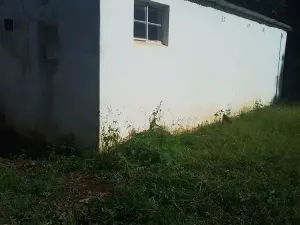 Cottage/Garden Flat to Rent