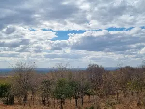 Commercial Stand for Sale