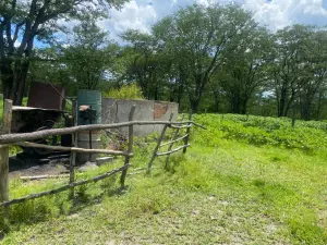Farm/Plot for Sale