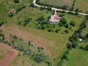 Residential Stand for Sale