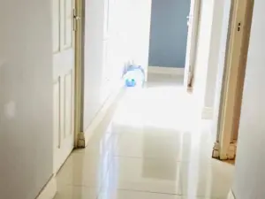 5 Bedroom House to Rent in Arlington