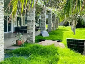 5 Bedroom House to Rent in Arlington