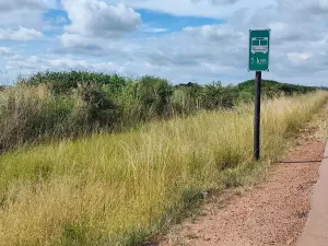 Commercial Stand for Sale