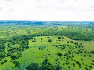 Industrial Stand for Sale