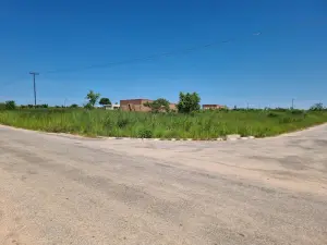 Commercial Stand for Sale