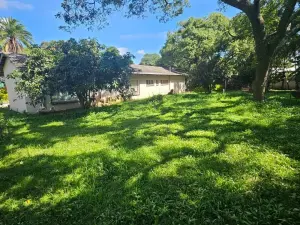 Commercial Stand for Sale