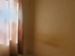 3 Bedroom Cottage/Garden Flat to Rent in Mount Pleasant