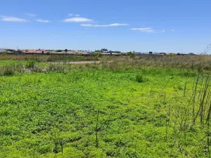 Residential Stand for Sale