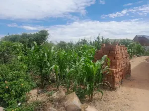 Residential Stand for Sale