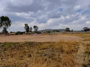 Commercial Stand to Rent in Tynwald