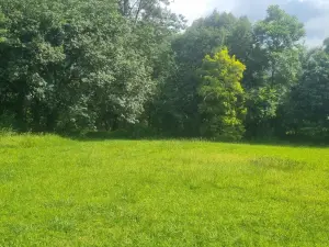 Residential Stand for Sale