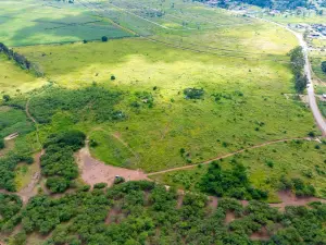 Residential Stand for Sale