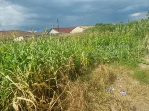 Residential Stand for Sale