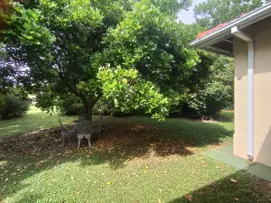 Townhouse/Cluster to Rent in Dandaro