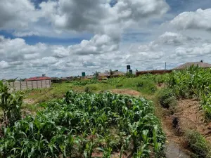 Residential Stand for Sale