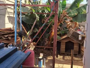 4 Bedroom House to Rent in Maranatha