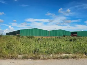 Commercial Stand for Sale