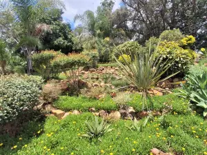 4 Bedroom House to Rent in Glen Lorne