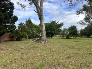 Residential Stand for Sale