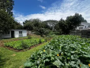 House to Rent in Mount Pleasant