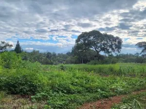 Residential Stand for Sale