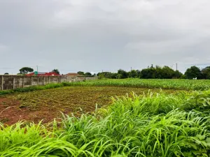 Residential Stand for Sale