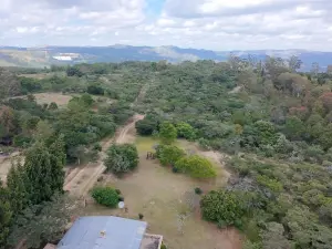 Residential Stand for Sale