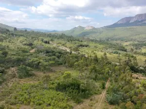 Residential Stand for Sale