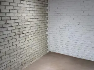 1 Bedroom Cottage/Garden Flat to Rent in Belvedere