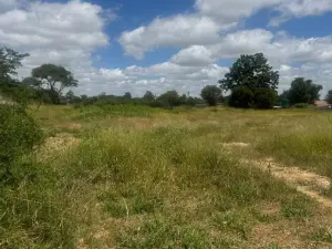 Residential Stand for Sale