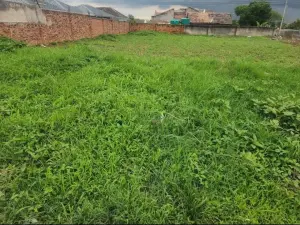 Residential Stand for Sale