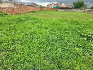 Residential Stand for Sale