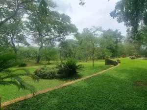 Residential Stand for Sale