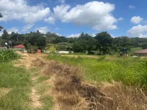 Residential Stand for Sale