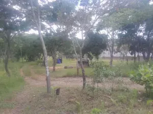 Residential Stand for Sale