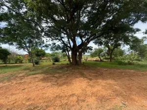 Residential Stand for Sale