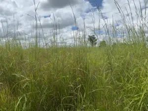 Residential Stand for Sale