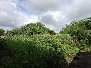 4 Bedroom House to Rent in Goodhope