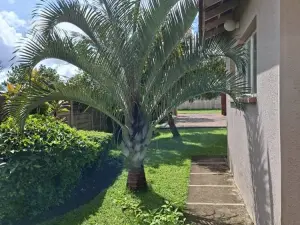 4 Bedroom House to Rent in Goodhope