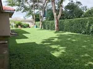 4 Bedroom House to Rent in Goodhope